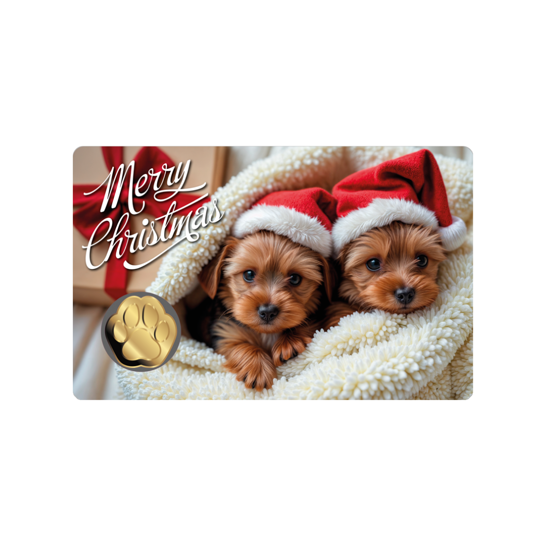 Dog Santa Hat Coin Card - Gold Gift