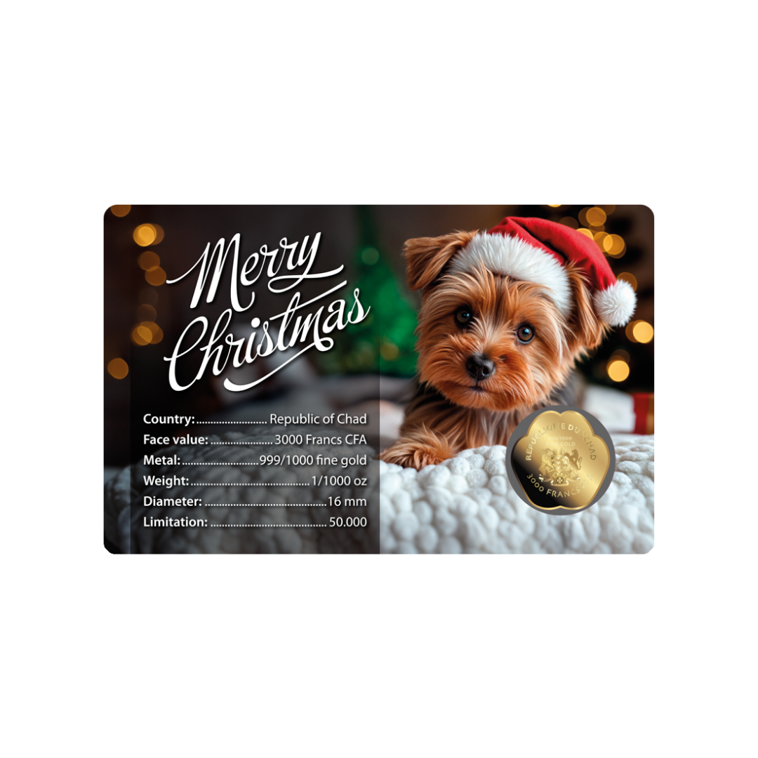 Dog Santa Hat Coin Card - Gold Gift