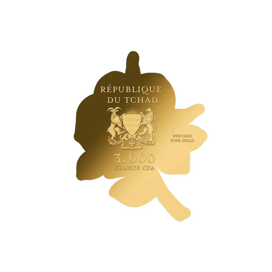 Rose Gold Coin with Gift Box - Gold Gift