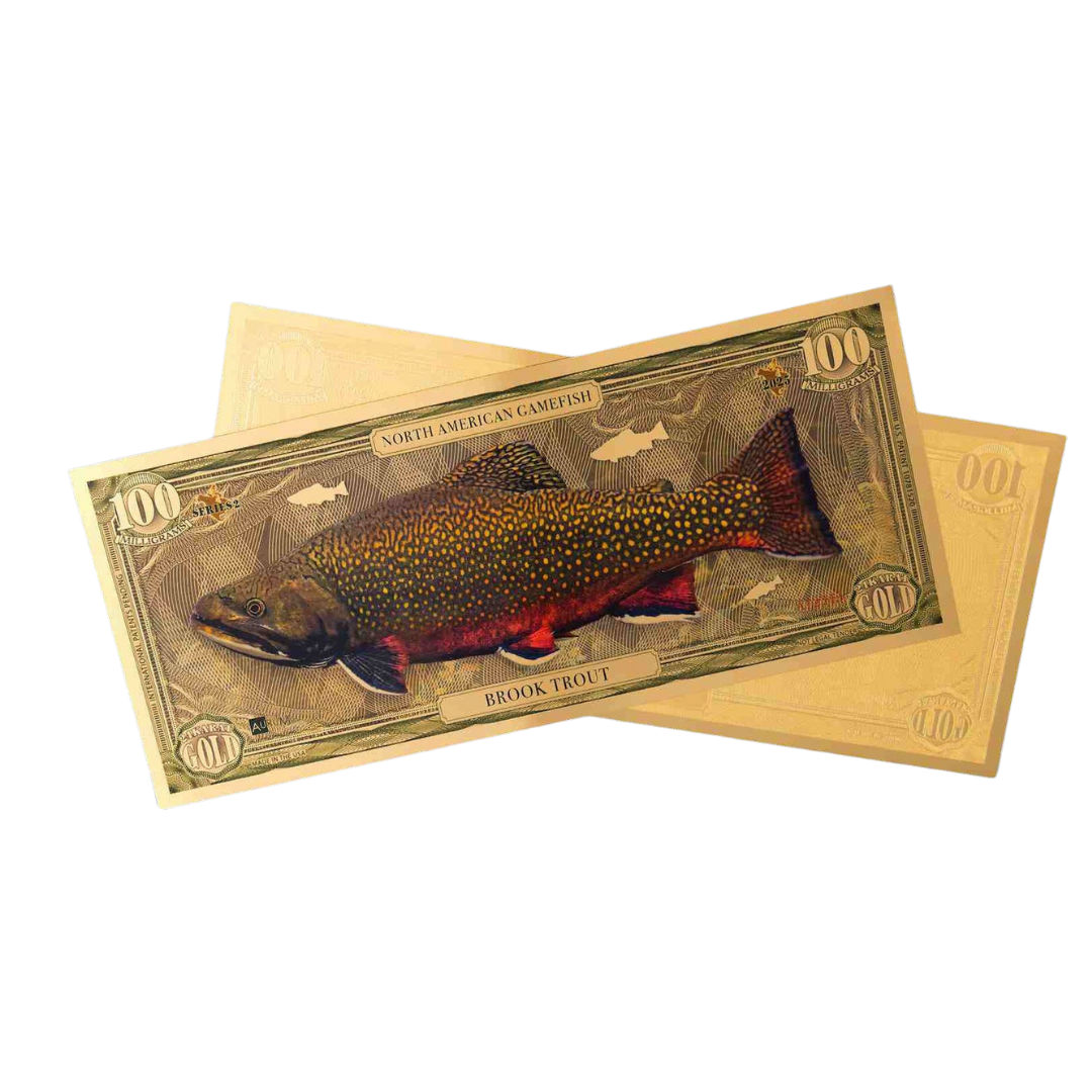Brook Trout Aurum Gold Note