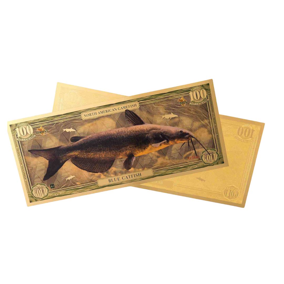 Blue Catfish Aurum Gold Note
