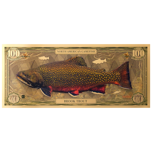 Brook Trout Aurum Gold Note