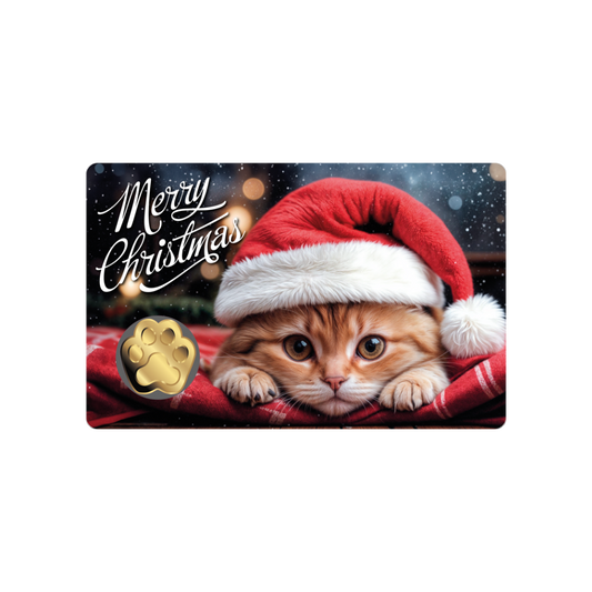 Cat Santa Hat Coin Card - Gold Gift