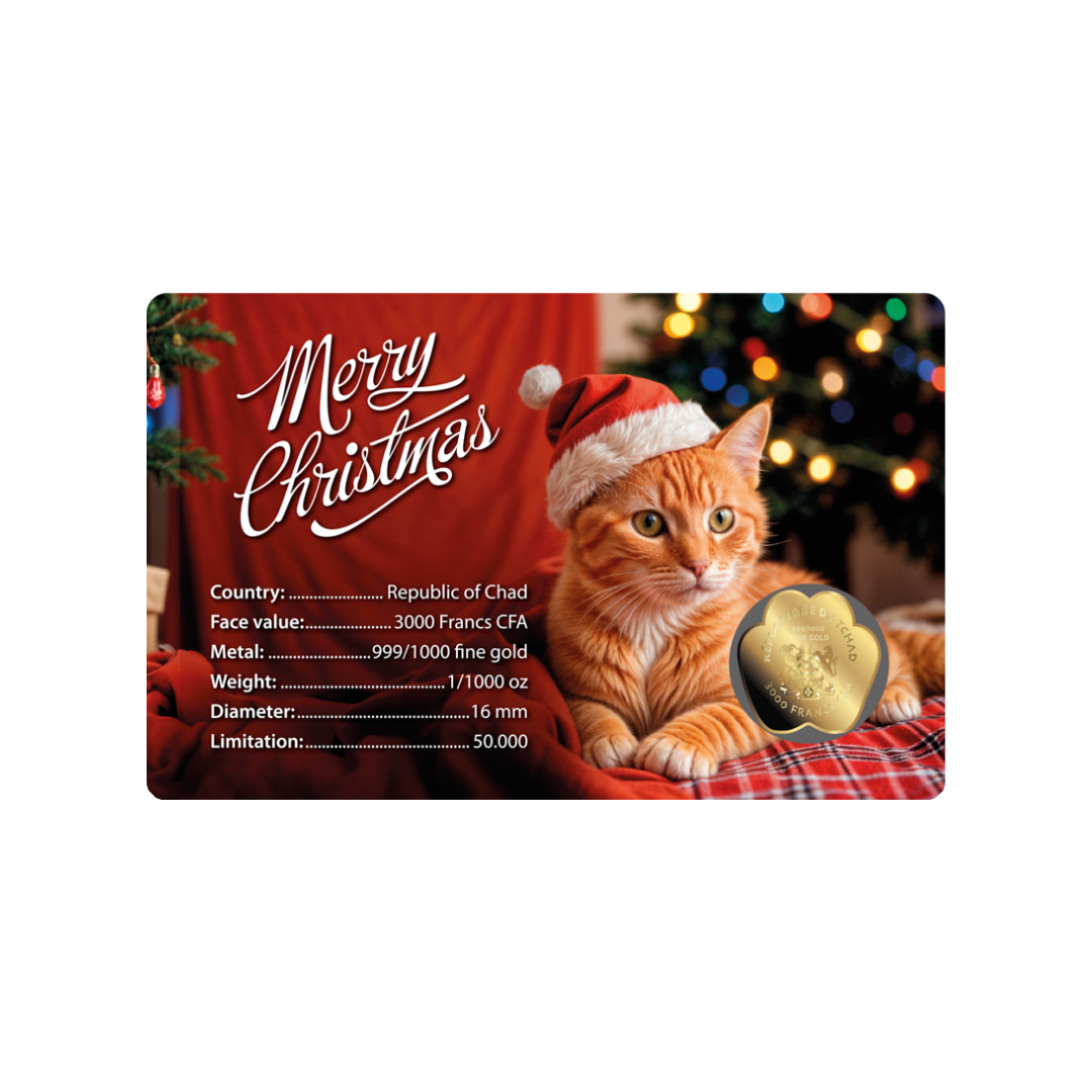 Cat Santa Hat Coin Card - Gold Gift