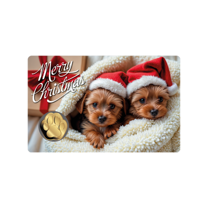 Dog Santa Hat Coin Card - Gold Gift