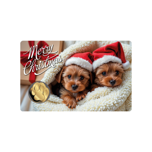 Dog Santa Hat Coin Card - Gold Gift
