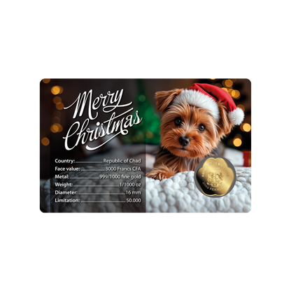 Dog Santa Hat Coin Card - Gold Gift