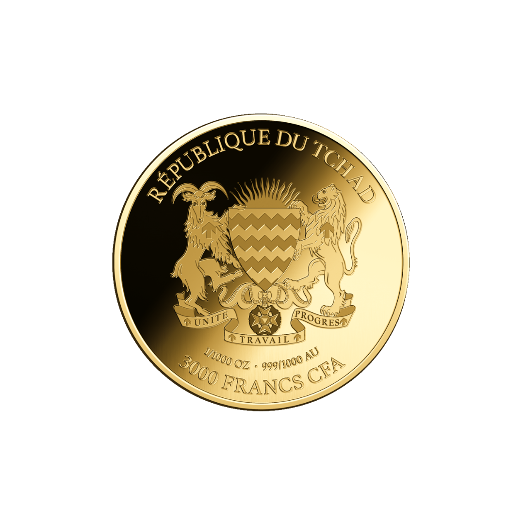 Valentines Day Coin Card - Gold Gift