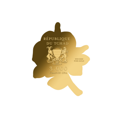 Rose Gold Coin with Gift Box - Gold Gift