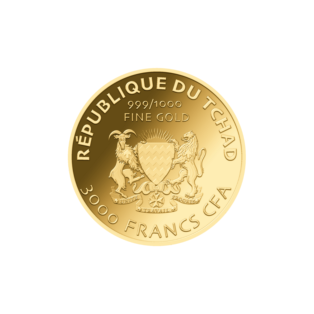 Universe Black Hole Coin Card - Gold Gift