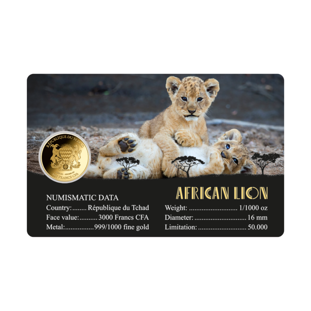 African Lion Coin Card - Gold Gift