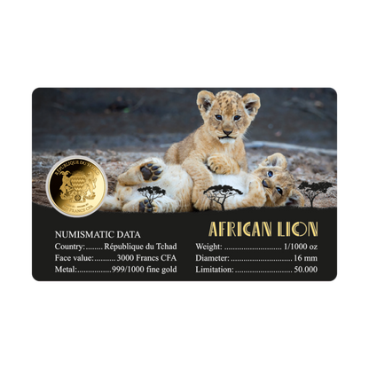 African Lion Coin Card - Gold Gift