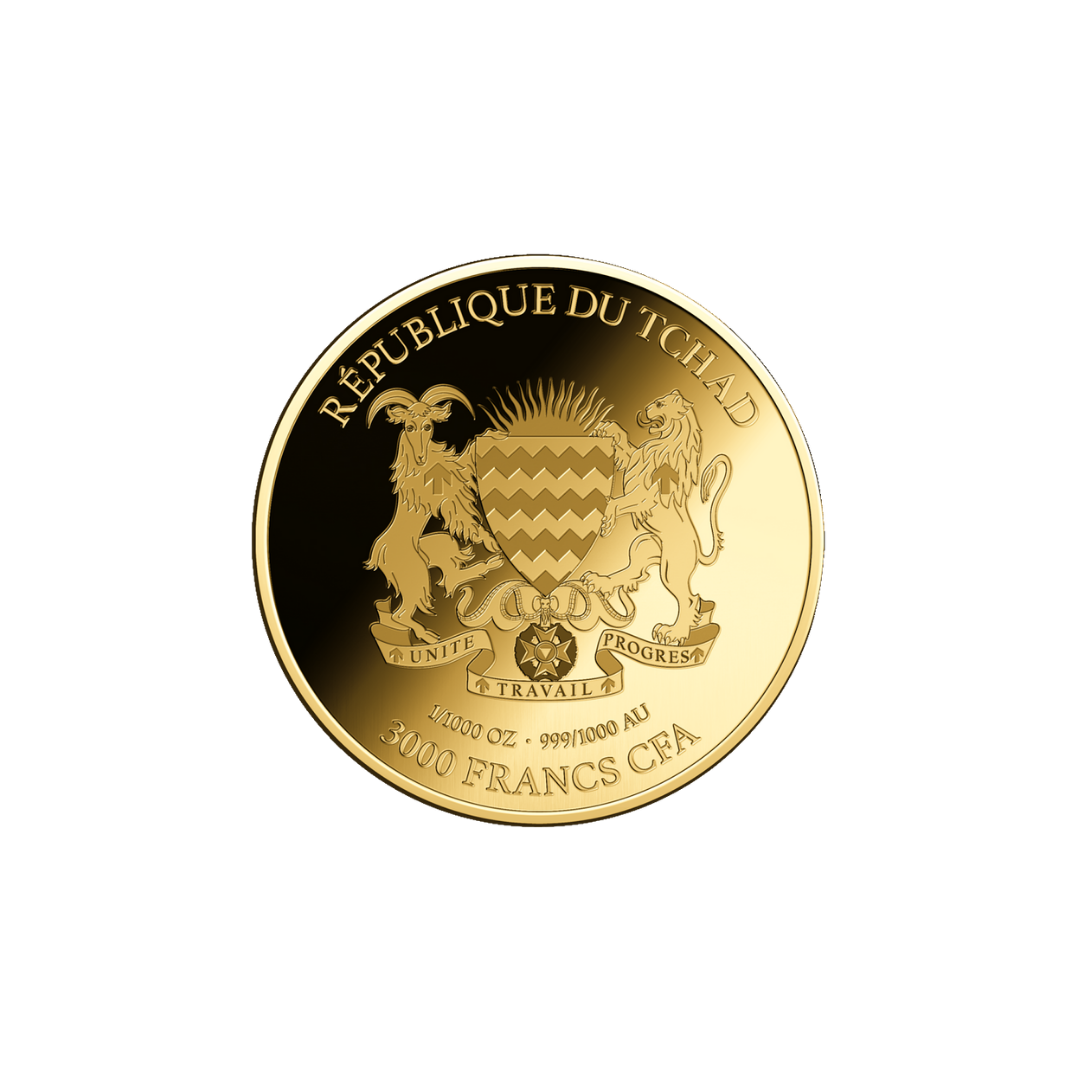 African Lion Coin Card - Gold Gift