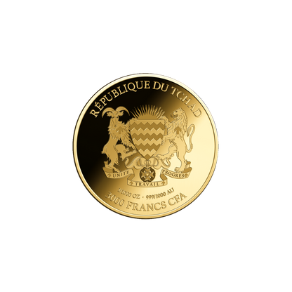 African Leopard Coin Card - Gold Gift
