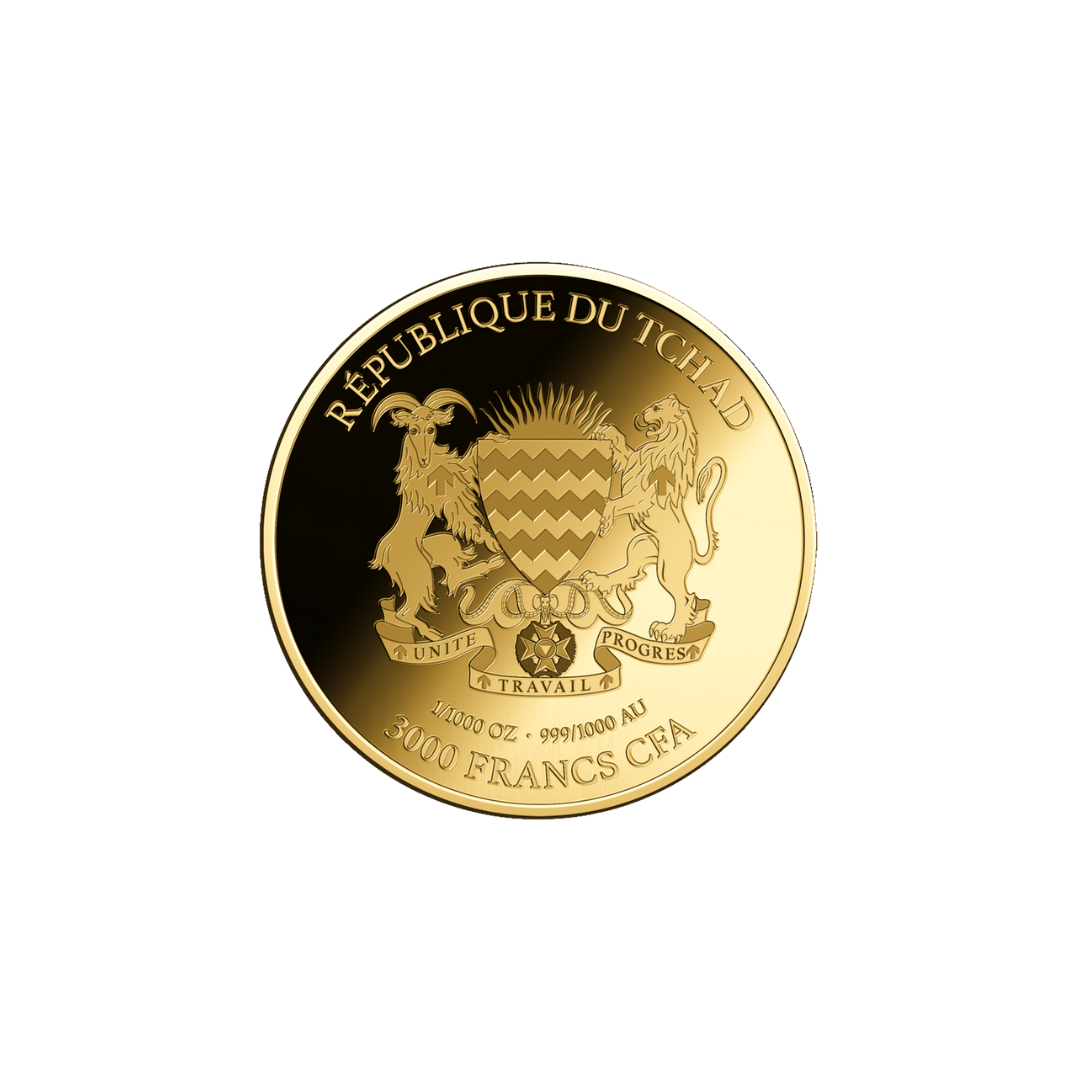 African Buffalo Coin Card - Gold Gift