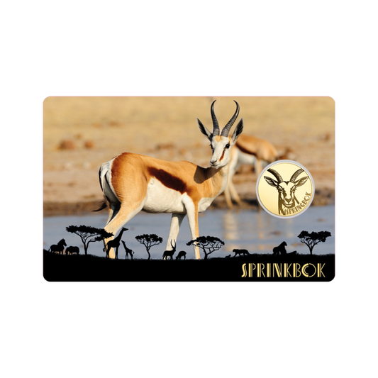 African Springbok Coin Card - Gold Gift
