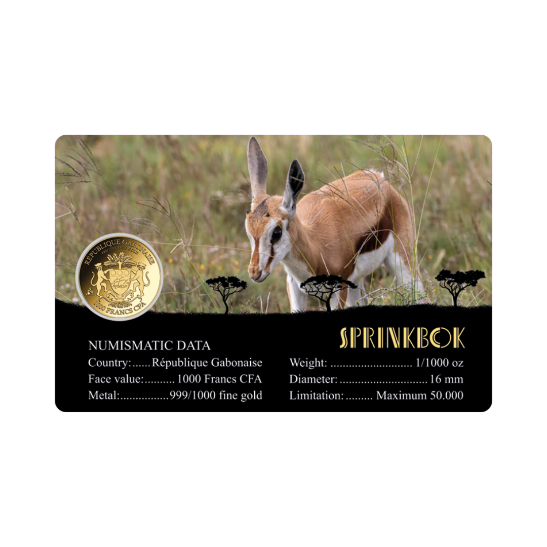 African Springbok Coin Card - Gold Gift