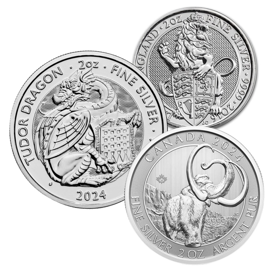 2oz Silver Coin (Best Value)