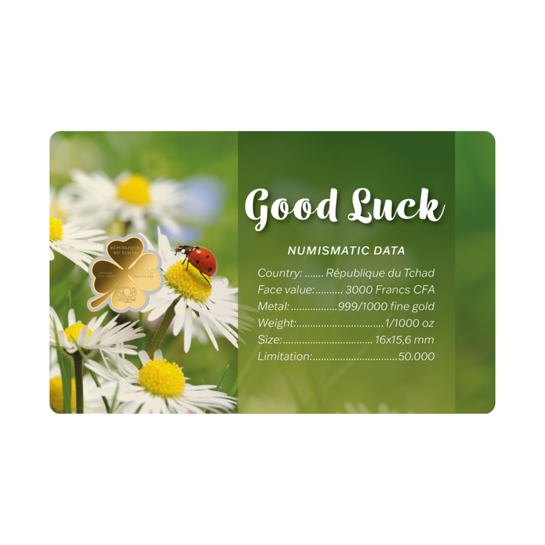 Good Luck Coin Card - Gold Gift