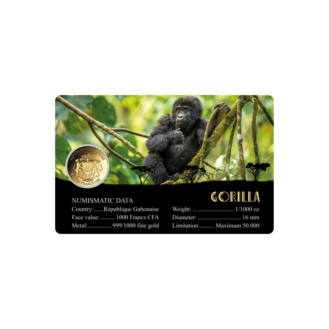 African Gorilla Coin Card - Gold Gift