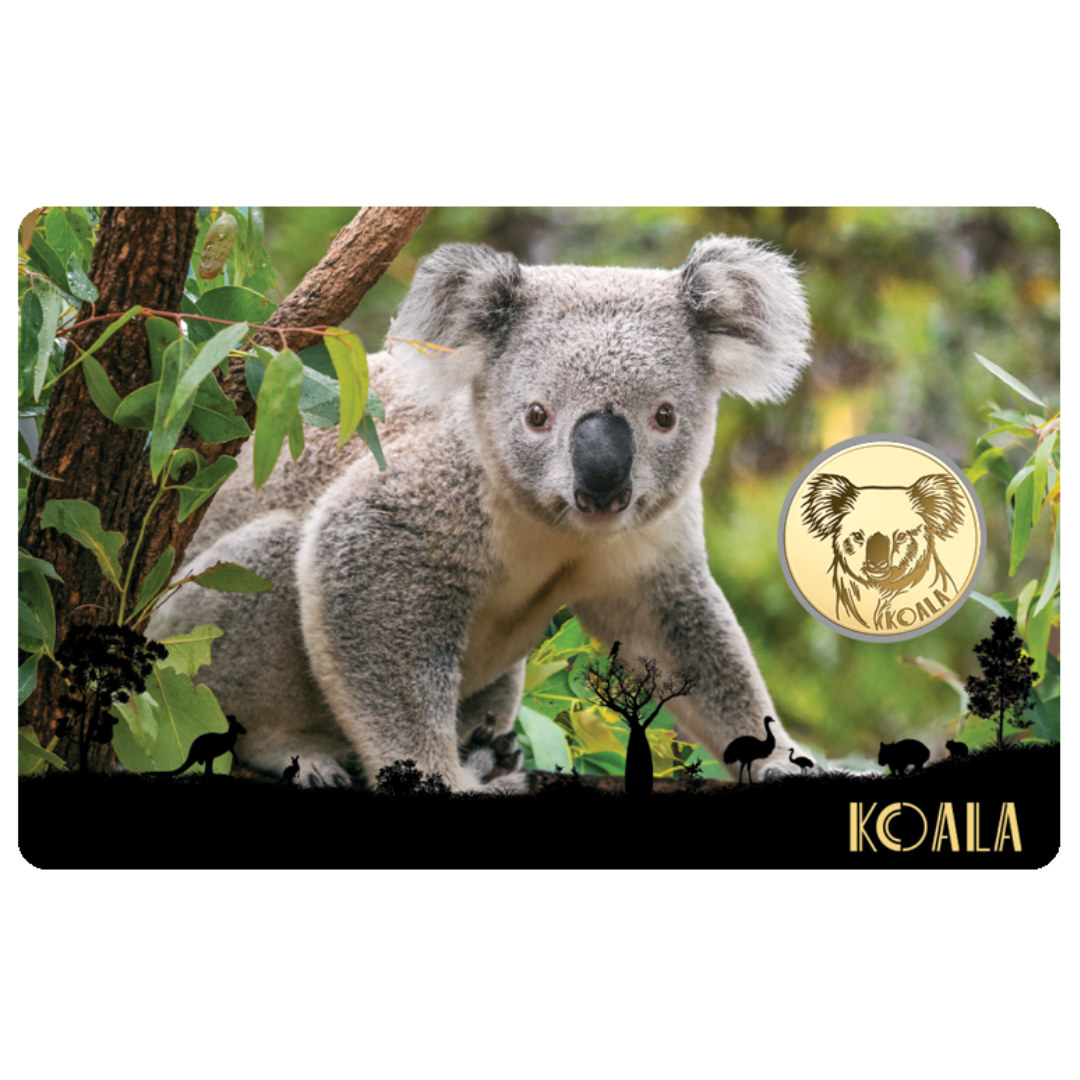 Koala Coin Card - Gold Gift