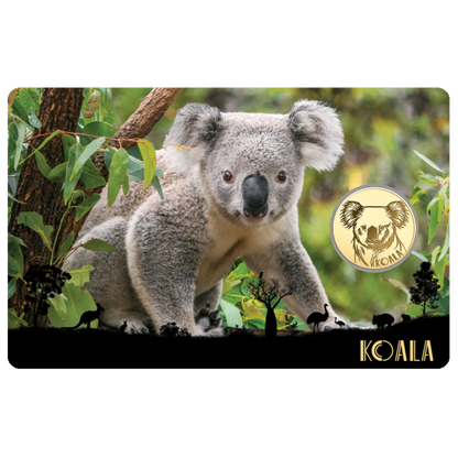 Koala Coin Card - Gold Gift