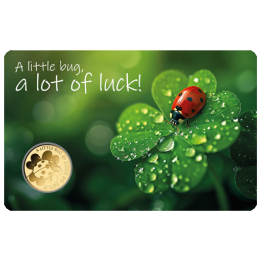 Little Bug Coin Card - Gold Gift