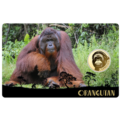 Orangutan Coin Card - Gold Gift