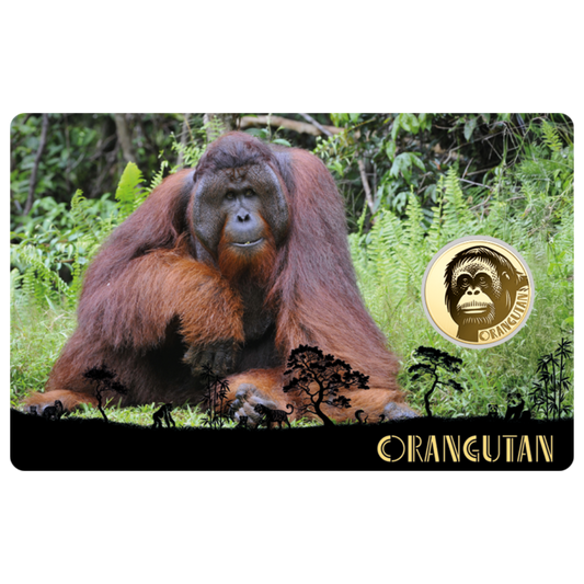 Orangutan Coin Card - Gold Gift