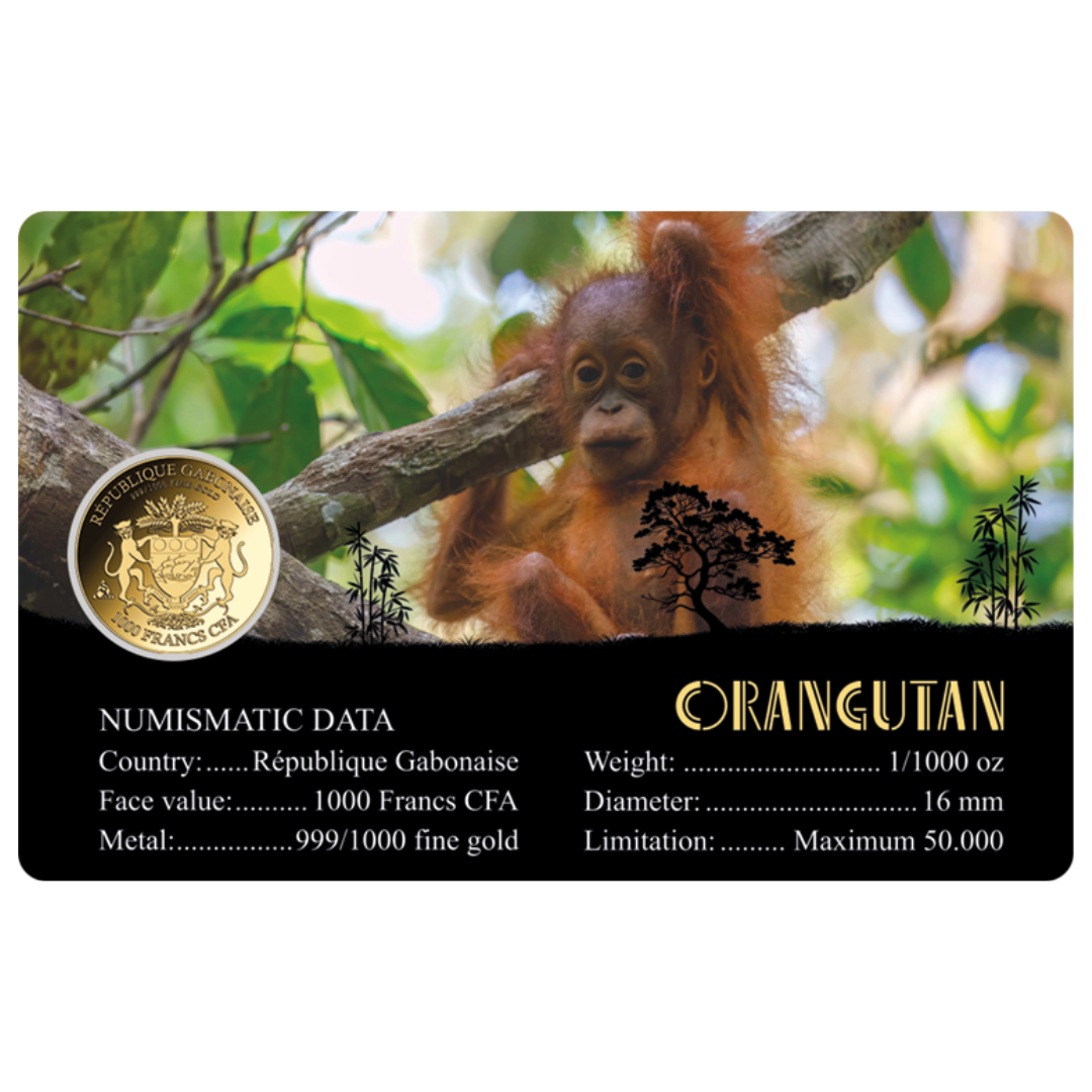 Orangutan Coin Card - Gold Gift