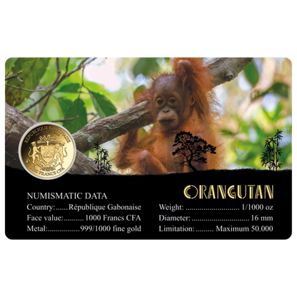 Orangutan Coin Card - Gold Gift