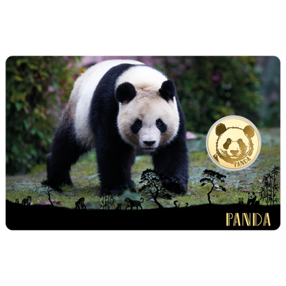 Panda Coin Card - Gold Gift