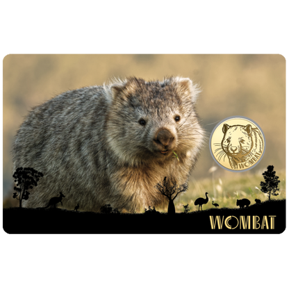 Wombat Coin Card - Gold Gift