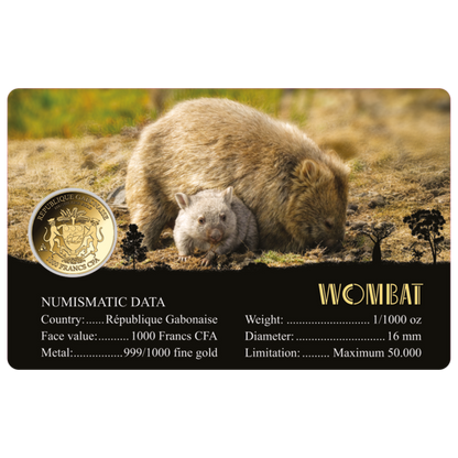 Wombat Coin Card - Gold Gift