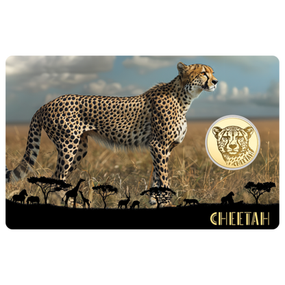 African Cheetah Coin Card - Gold Gift