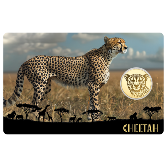 African Cheetah Coin Card - Gold Gift