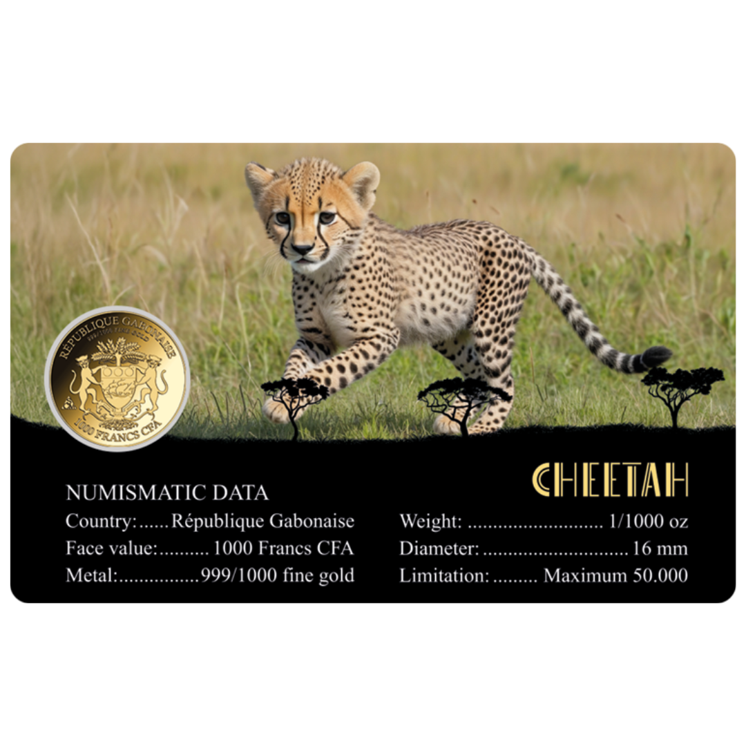 African Cheetah Coin Card - Gold Gift