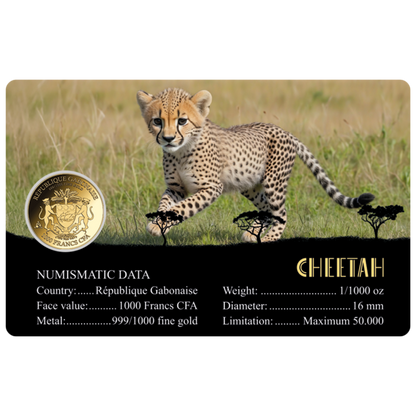 African Cheetah Coin Card - Gold Gift