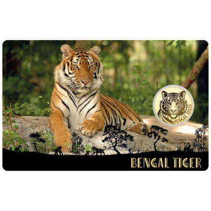 Bengal Tiger Coin Card - Gold Gift