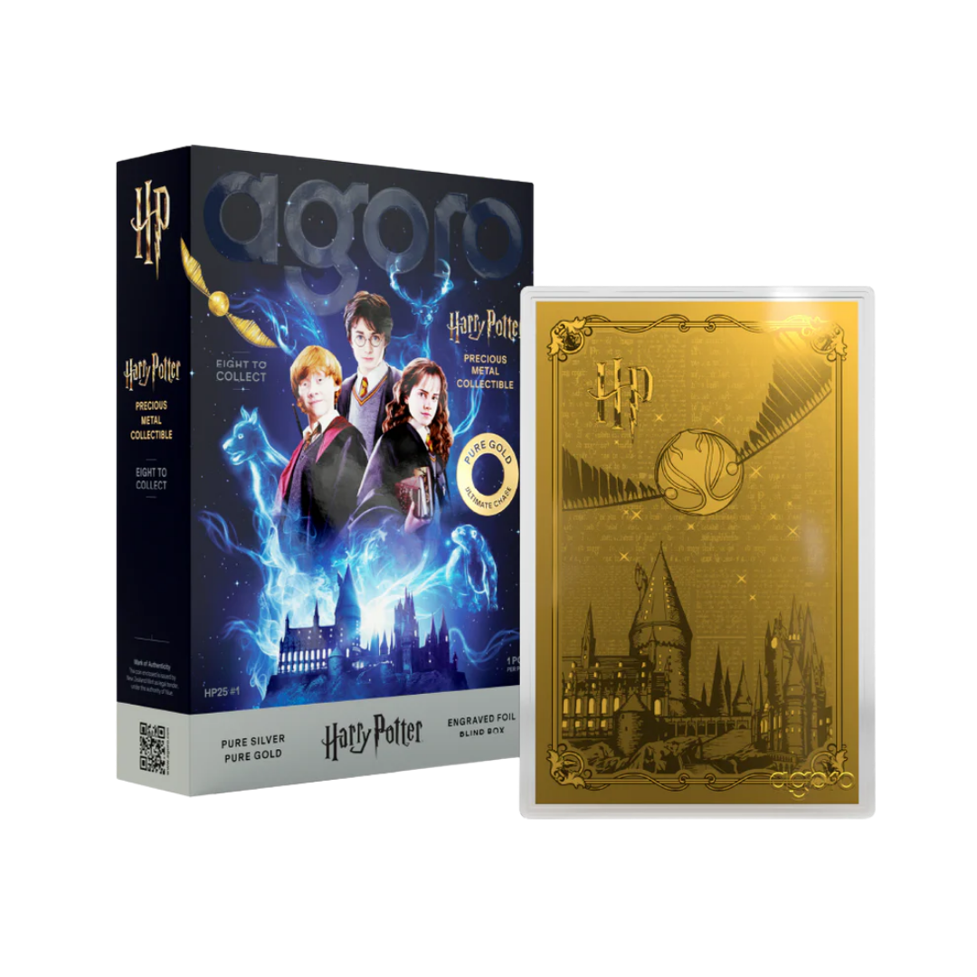 Harry Potter - Blind Box - 25 Years of Magic 5gm Silver Foil
