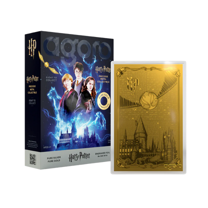 Harry Potter - Blind Box - 25 Years of Magic 5gm Silver Foil