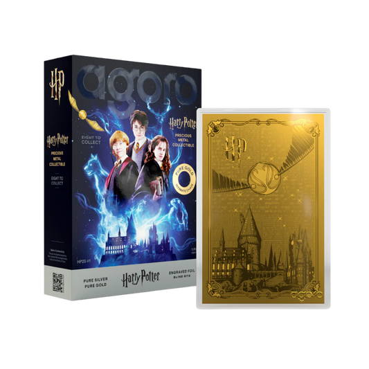 Harry Potter - Blind Box - 25 Years of Magic 5gm Silver Foil
