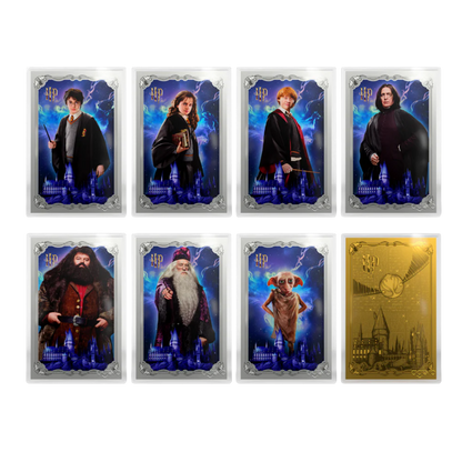 Harry Potter - Blind Box - 25 Years of Magic 5gm Silver Foil