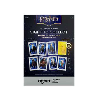 Harry Potter - Blind Box - 25 Years of Magic 5gm Silver Foil