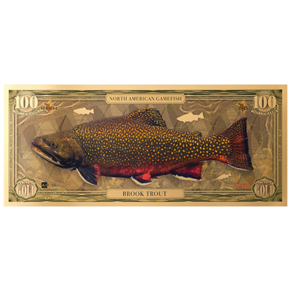 Brook Trout Aurum Gold Note