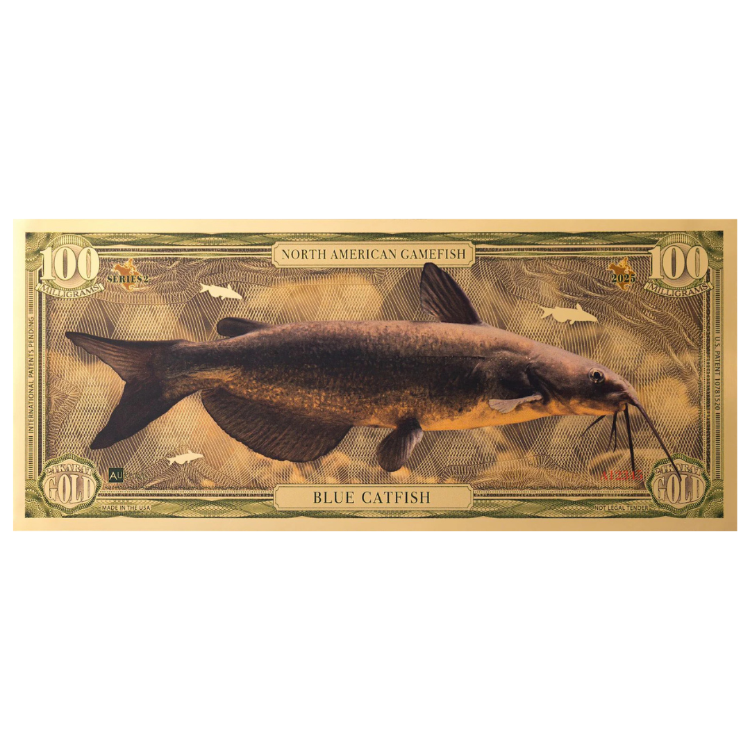 Blue Catfish Aurum Gold Note