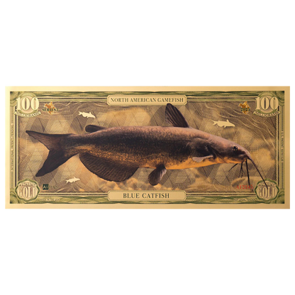 Blue Catfish Aurum Gold Note